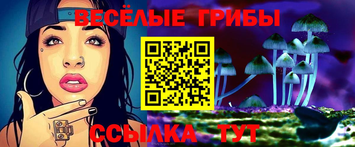 Великий Новгород  Псилоцибиновые грибы мухоморы  сколько стоит  Вход с VPN 